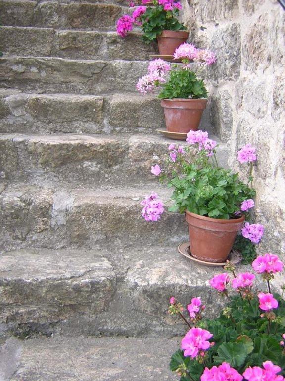 Mas Casta Nea Bed & Breakfast Thueyts Exterior foto