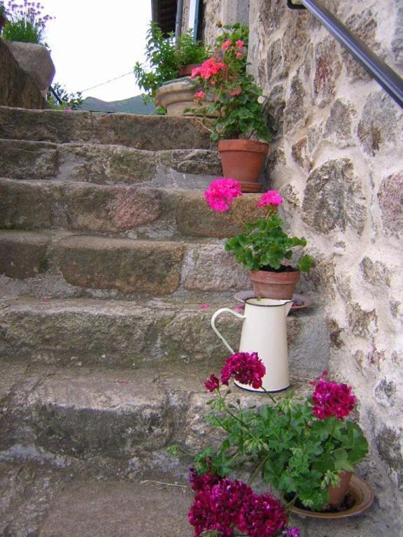 Mas Casta Nea Bed & Breakfast Thueyts Exterior foto