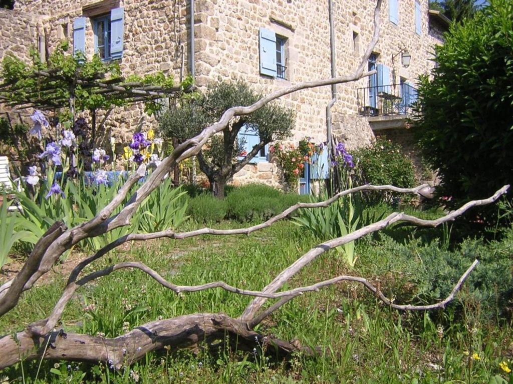 Mas Casta Nea Bed & Breakfast Thueyts Exterior foto